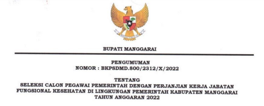 Rincian Formasi Casn Pppk Jf Kesehatan Kabupaten Manggarai Ntt