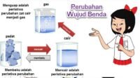 KUNCI JAWABAN Kelas 3 Tema 3 Halaman 210 212 213 214 215 Buku Tematik Siswa SD Subtema 4 Pembelajaran 4 Keajaiban Perubahan Wujud di Sekitarku