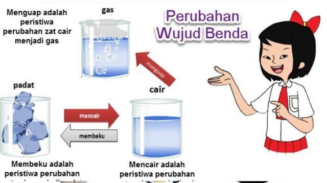 KUNCI JAWABAN Kelas 3 Tema 3 Halaman 210 212 213 214 215