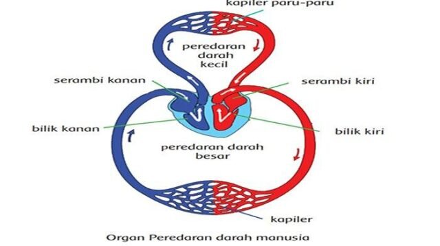 17+ Kunci Jawaban Tema 4 Subtema 1 Pembelajaran 1 Kelas 5 Halaman 3 Pics