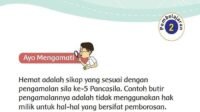 KUNCI JAWABAN Kelas 3 Tema 6 Halaman 162 163 dan 168 Subtema 4 Pembelajaran 2 Contoh Kegiatan yang Termasuk Pemborosan Energi