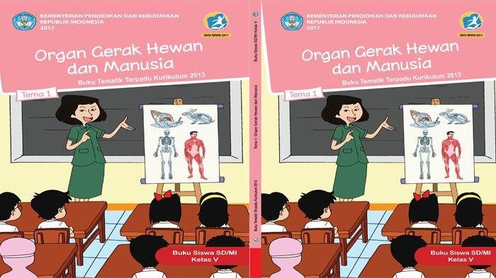 KUNCI JAWABAN Kelas 5 SD Tema 1 Halaman 68 69 70 72 73 74 75 dan 63 64 65 Buku Tematik Siswa Organ Gerak Hewan dan Manusia