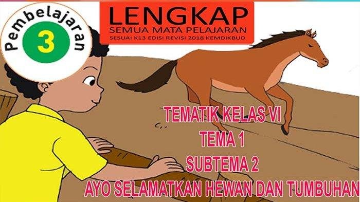 KUNCI JAWABAN Kelas 6 SD Tema 1 Halaman 150 151 152 153 154 155 Buku Tematik Siswa Ayo Selamatkan Hewan dan Tumbuhan