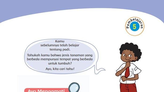 KUNCI JAWABAN Kelas 4 SD Tema 3 Halaman 32 33 34 35 36 37 38 39 Buku Tematik Siswa Subtema 1 Peduli Terhadap Makhluk Hidup