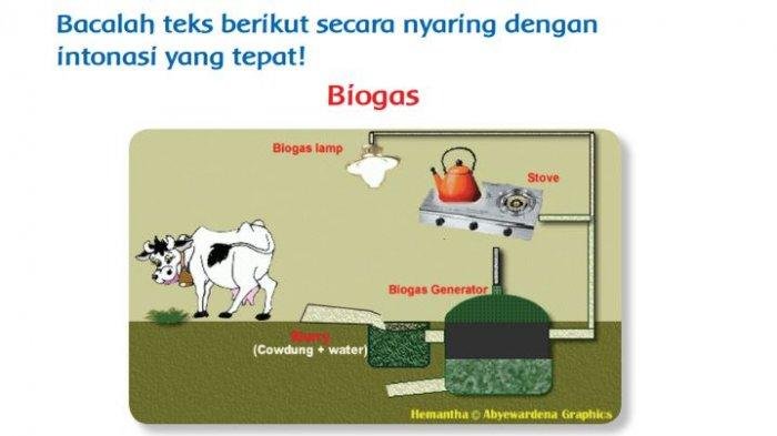 KUNCI JAWABAN SOAL Kelas 3 SD Tema 6 Halaman 144 145 146 147 148 149 Buku Tematik Siswa Pembelajaran 6 Mengenai Biogas Energi Alternatif