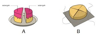 Kunci Jawaban Tema 5 Kelas 3 Halaman 7